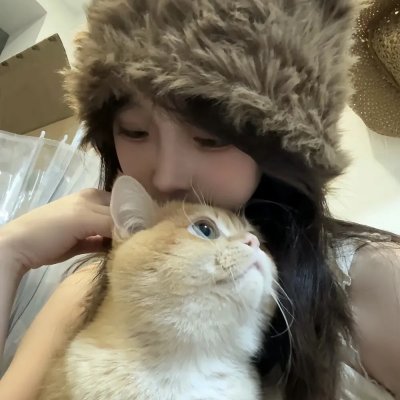 爱尔兰之愿